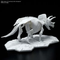 Dinosaur Limex Skeleton Triceratops - Image 2