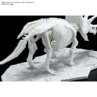 Dinosaur Limex Skeleton Triceratops - Image 5