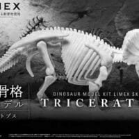 Dinosaur Limex Skeleton Triceratops - Image 6