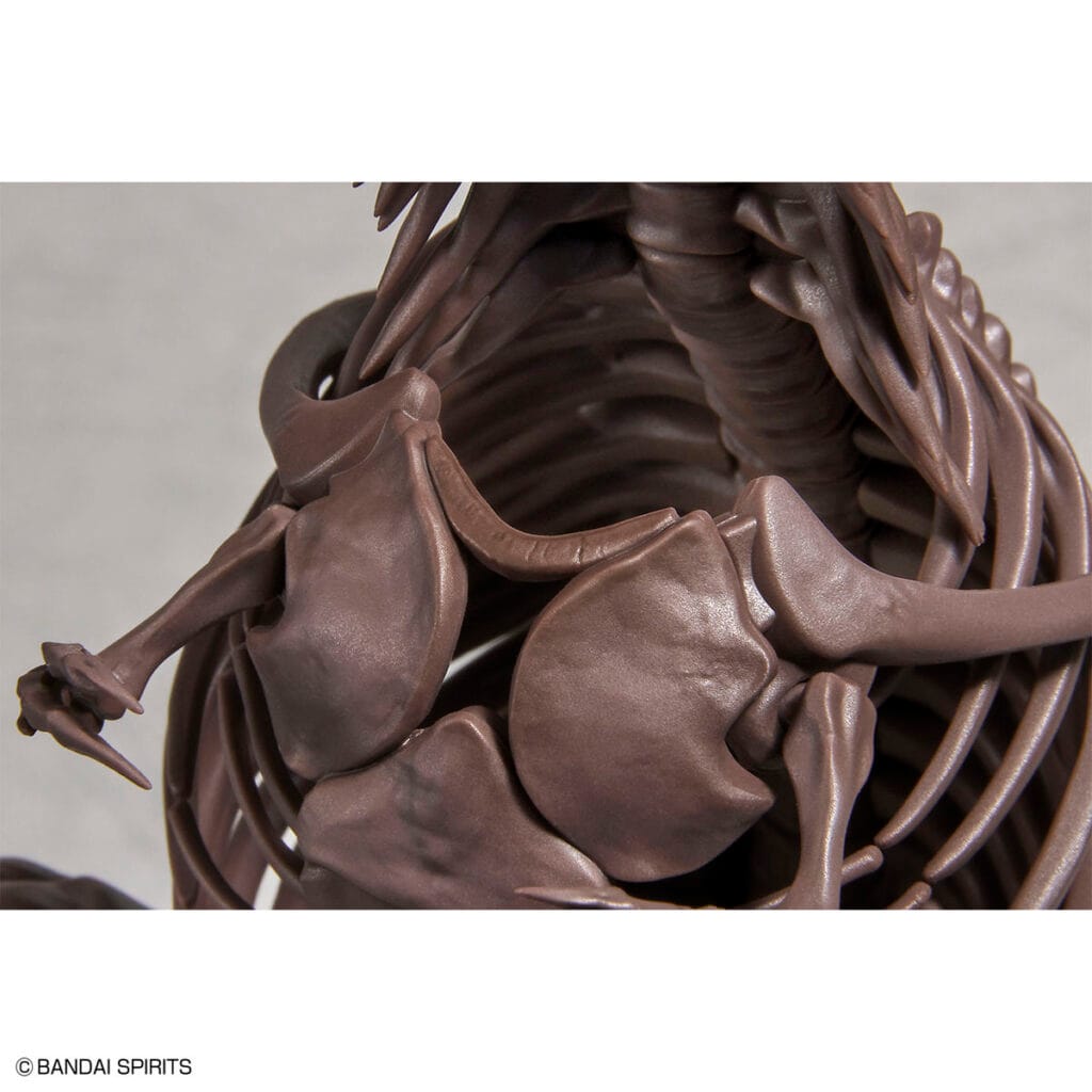 Imaginary Skeleton Tyrannosaurus - Image 4