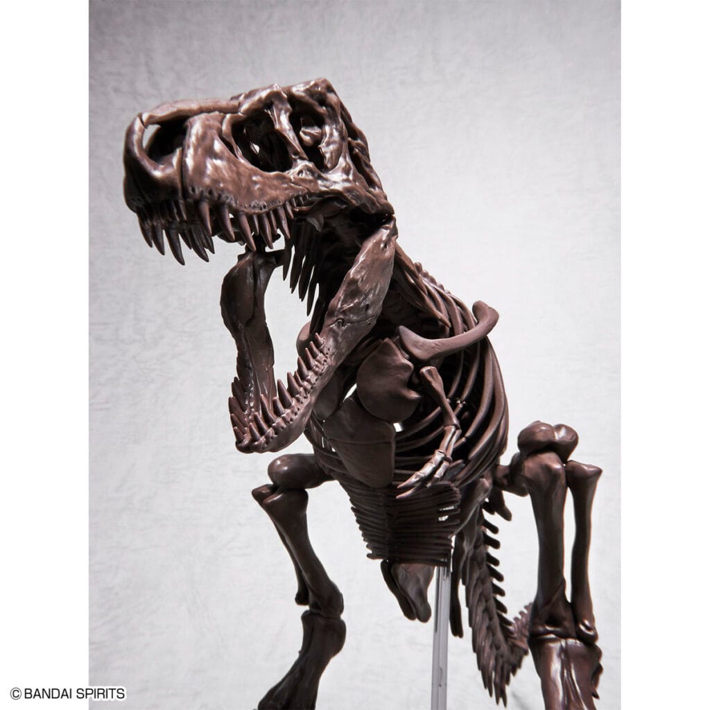 Imaginary Skeleton Tyrannosaurus - Image 7