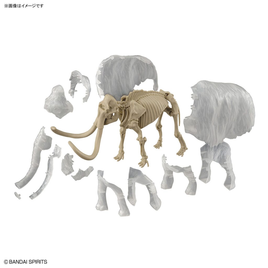 Exploring Lab Nature Mammoth - Image 11
