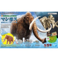 Exploring Lab Nature Mammoth - Image 12