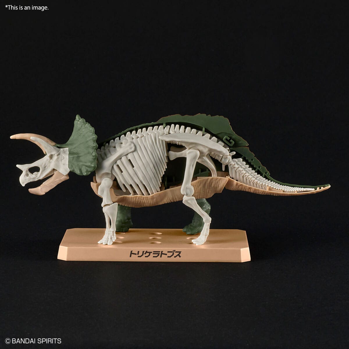 Plannosaurus Triceratops - Image 7
