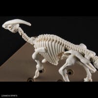 Plannosaurus #09 Parasaurolophus - Image 10