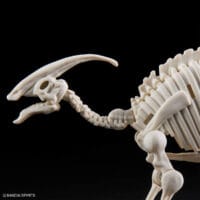 Plannosaurus #09 Parasaurolophus - Image 11