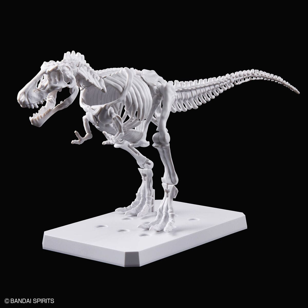 Plannosaurus #01 Tyrannosaurus Painting Ver. - Image 4
