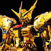4573102673961-thumb RG #41 Akatsuki Gundam (Oowashi Unit)