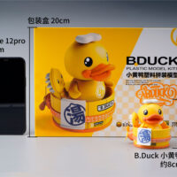 B. Duck - Image 7