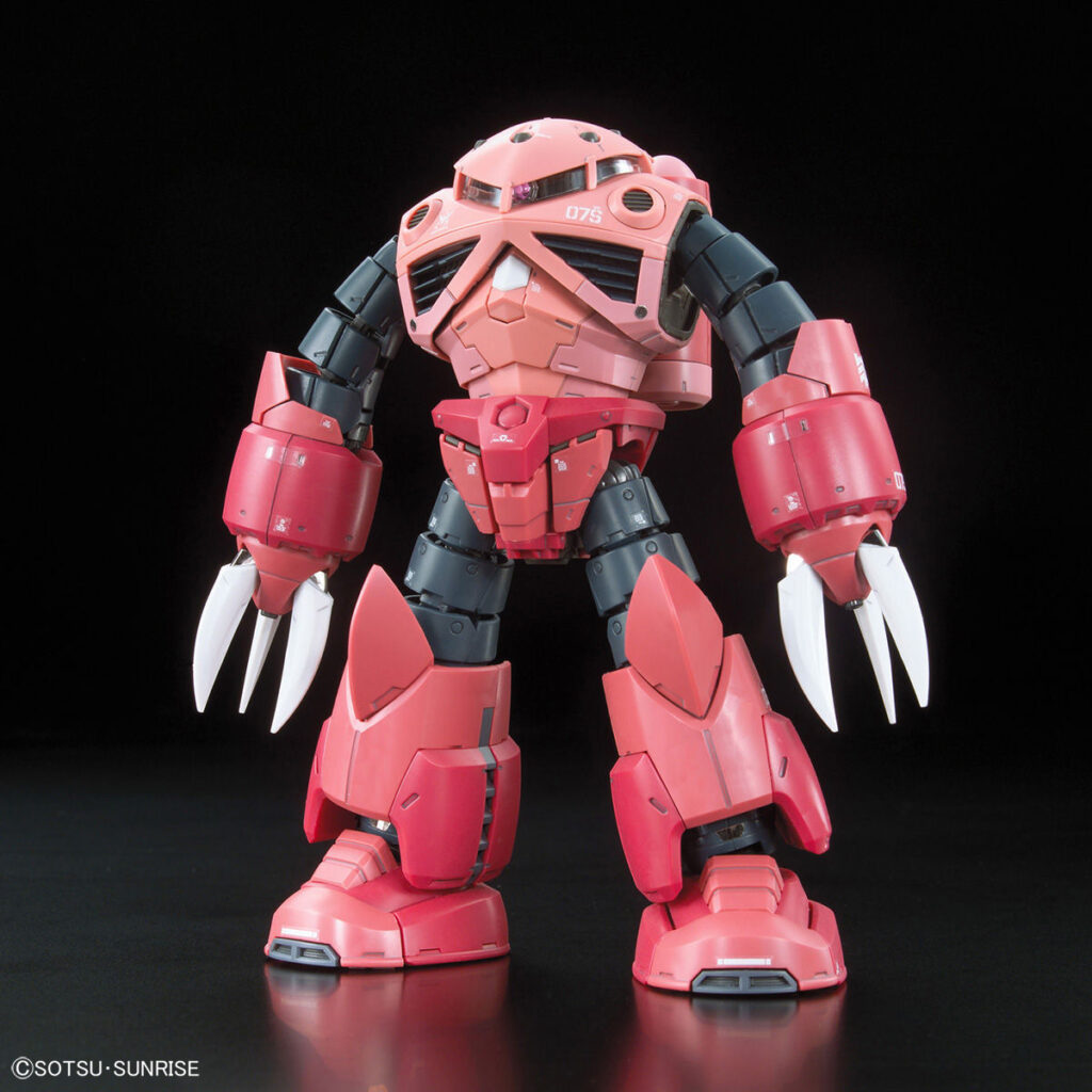 RG #13 Z'Gok Char Custom - Image 1