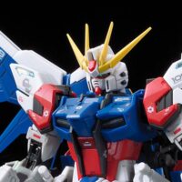 RG #23 Build Strike Gundam Full Package