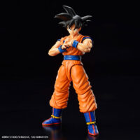 FRS Son Goku (New Spec Ver.) - Image 7