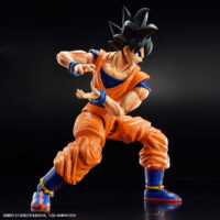 FRS Son Goku (New Spec Ver.) - Image 10