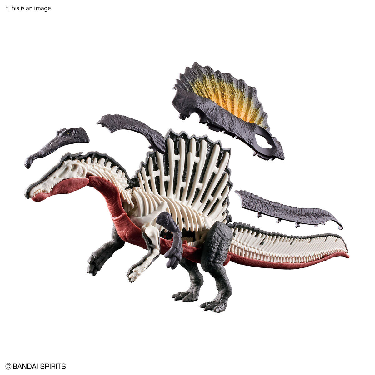 Plannosaurus #05 Spinosaurus - Image 11