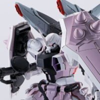 4573102618061-00 MG PB Blaze Zaku Phantom (Rey Za Burrel Custom)