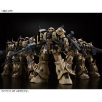 HGCDI PB High Mobility Zaku Ground Type (Danan Model) - Image 9
