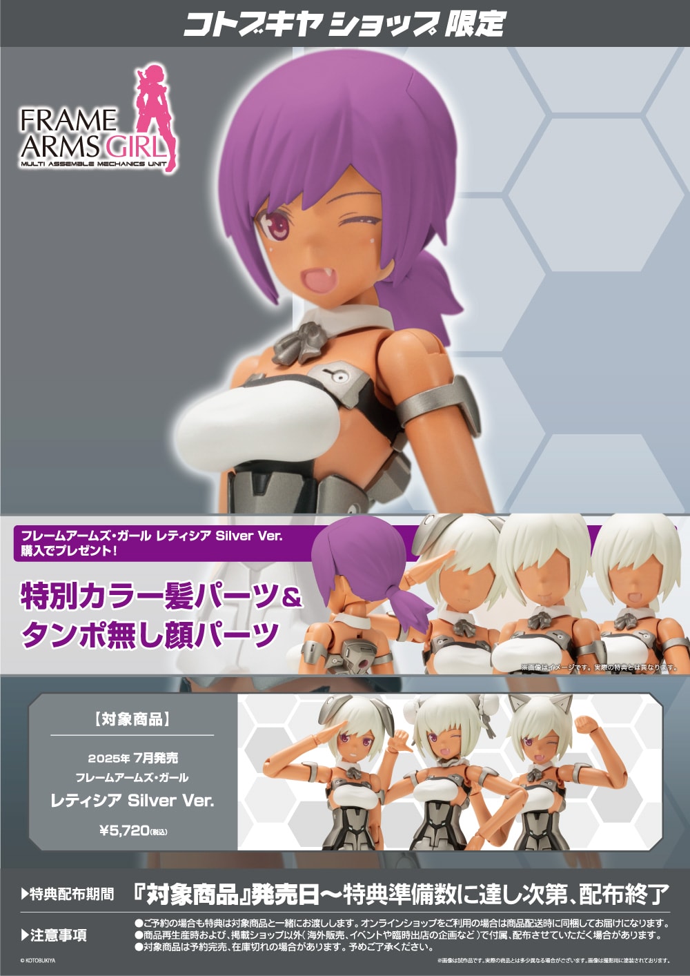 Frame Arms Girl Laetitia Silver Ver. - Image 18