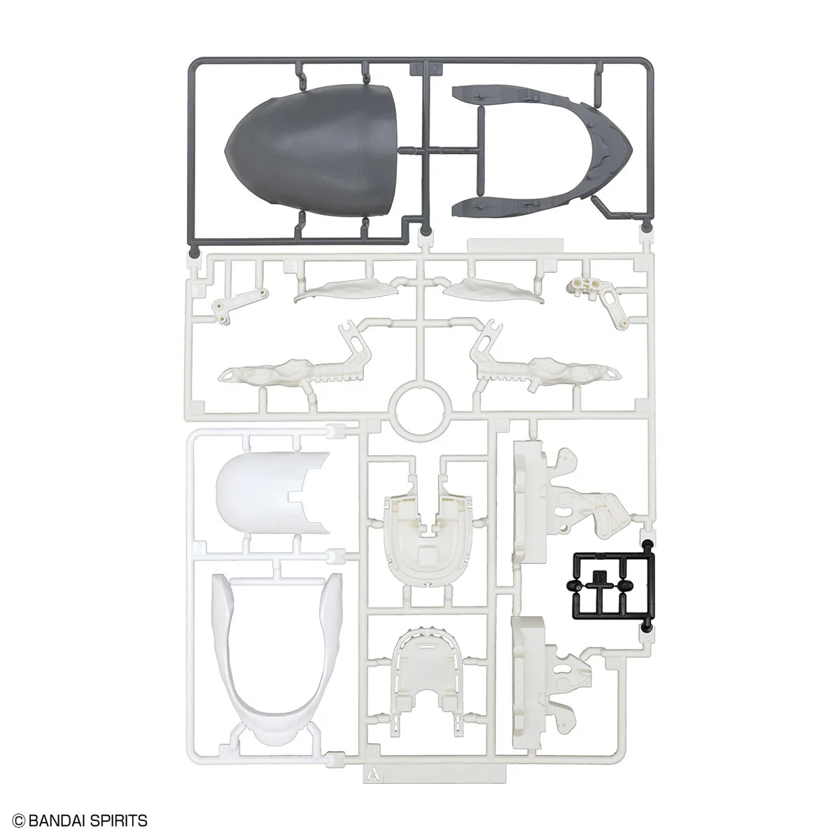 Exploring Lab Nature Great White Shark - Image 5