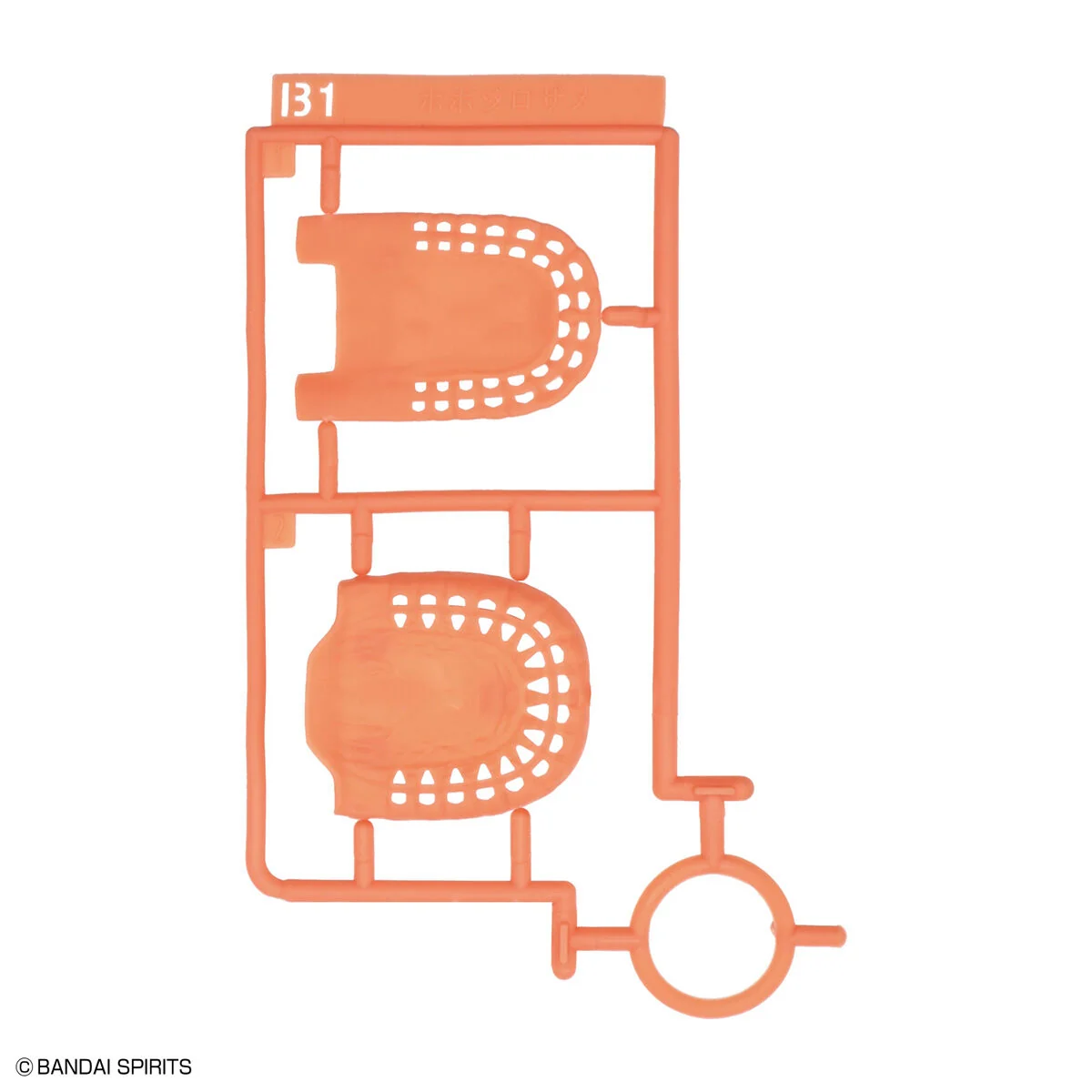 Exploring Lab Nature Great White Shark - Image 6