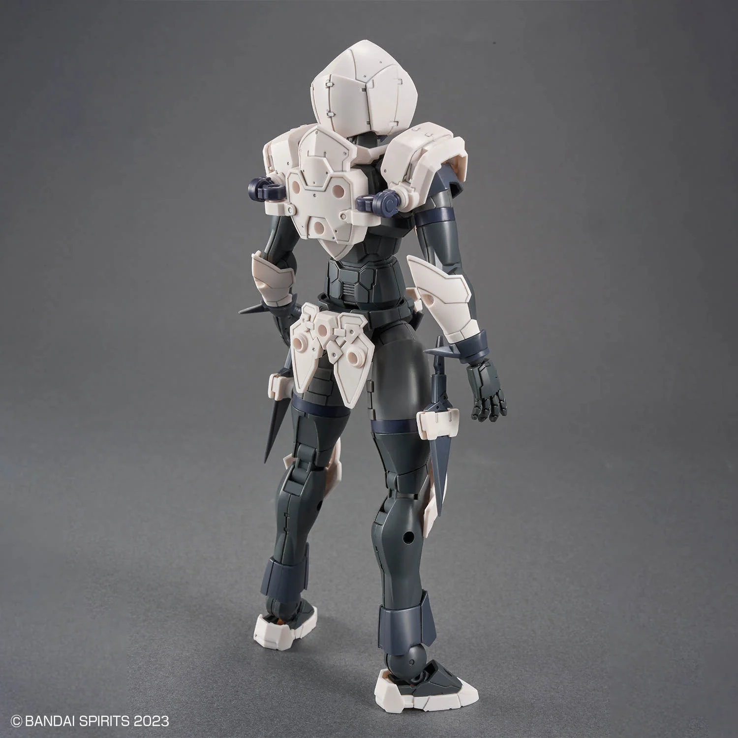 30MF #11 Rosan Assassin - Image 3