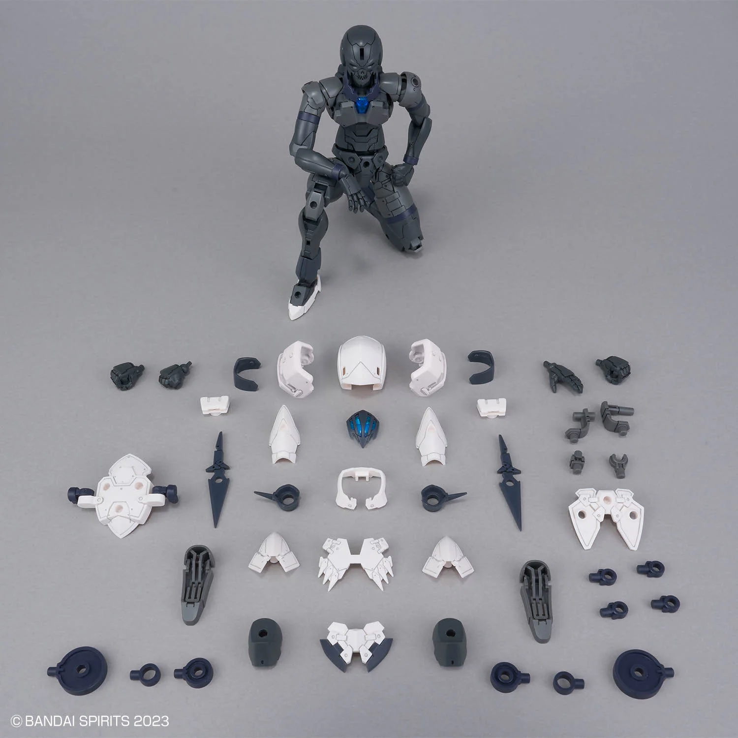 30MF #11 Rosan Assassin - Image 5