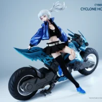Cyclone Hopper Yip Fung Sim - Image 4