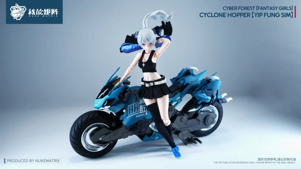 Cyclone Hopper Yip Fung Sim