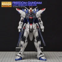 G-rework Decal MG #192 Freedom Gundam 2.0