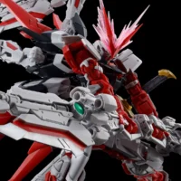 RG PB Gundam Astray Red Dragon