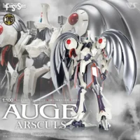 FSS IMS #12 Auge Arsculs