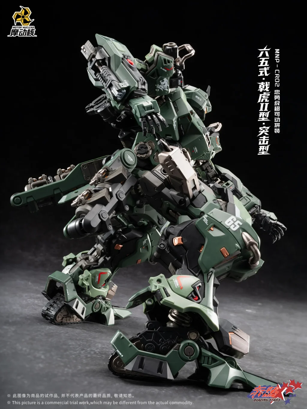 Ji Hu Type II Assault Type