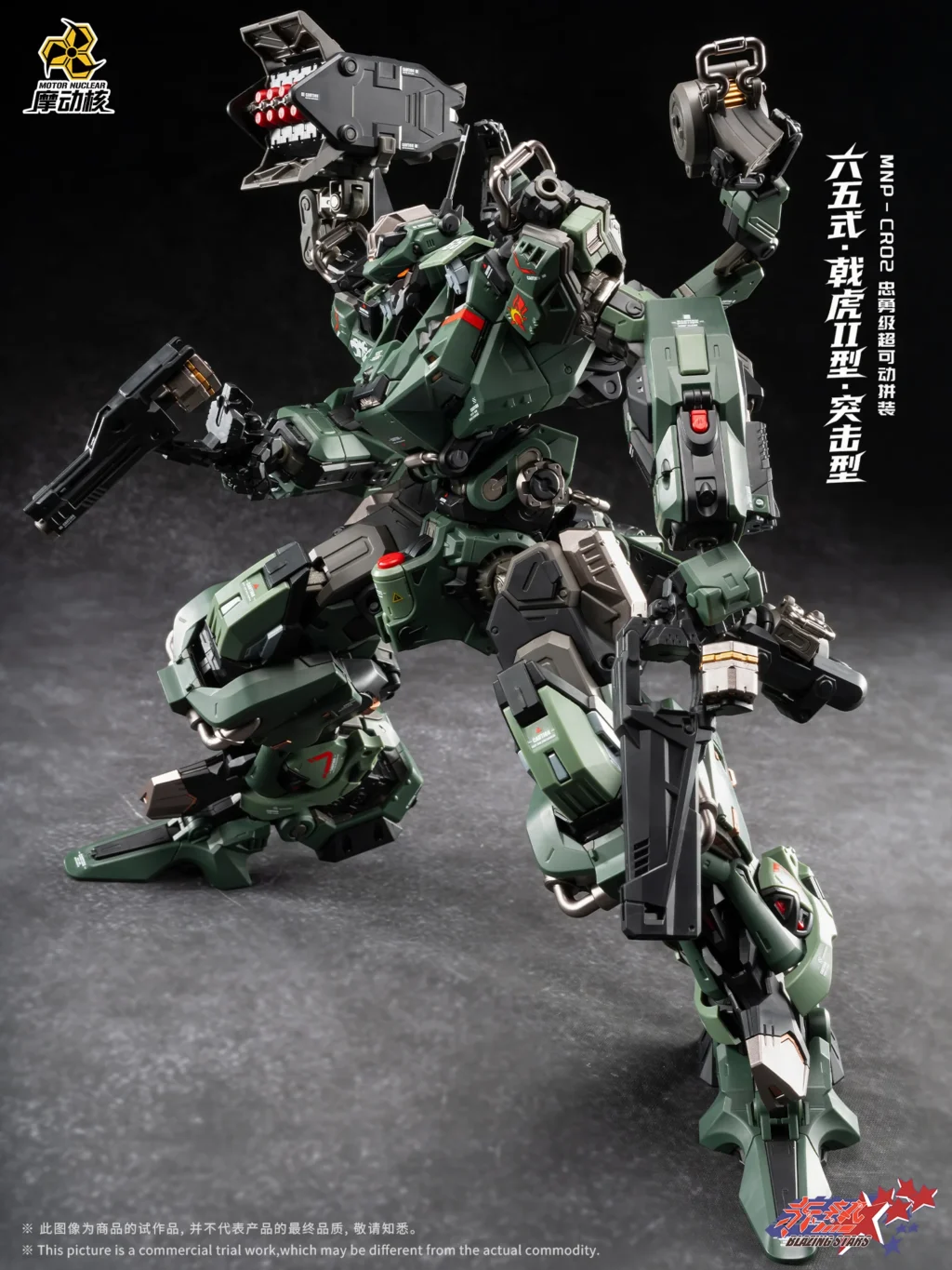 Ji Hu Type II Assault Type