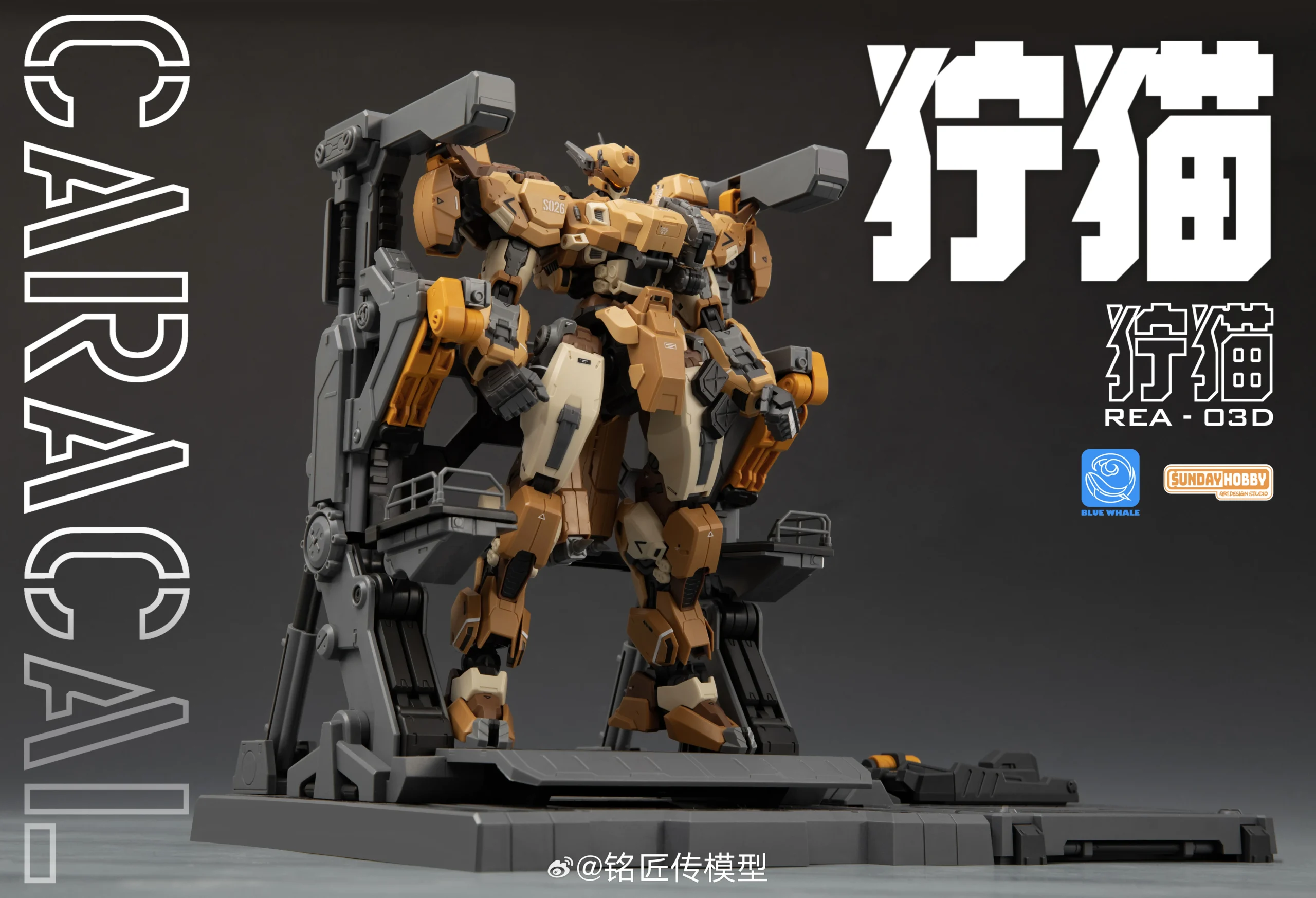 Caracal Desert Combat Type - Image 17