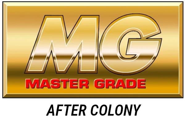 MG After Colony